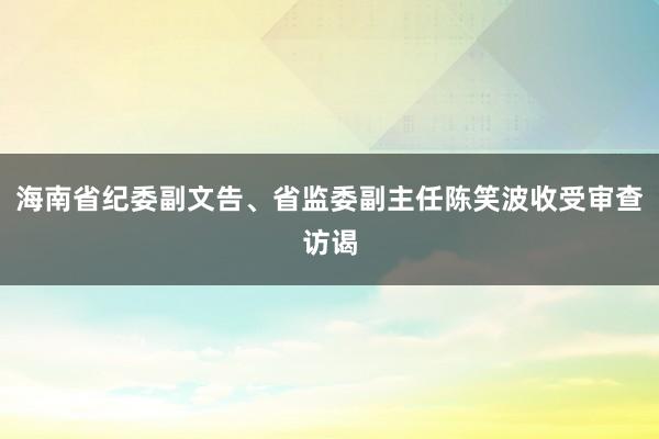 海南省纪委副文告、省监委副主任陈笑波收受审查访谒