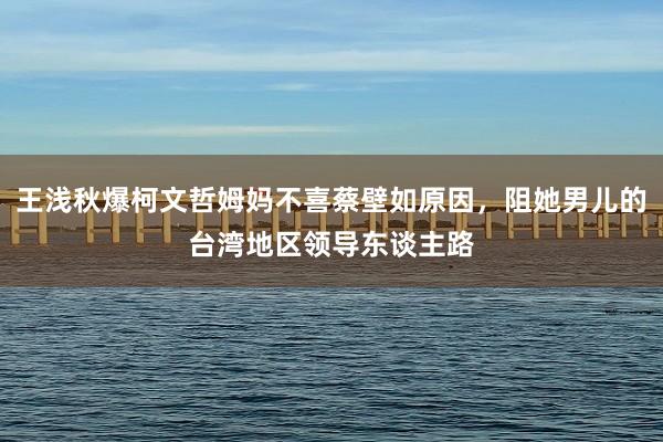 王浅秋爆柯文哲姆妈不喜蔡壁如原因，阻她男儿的台湾地区领导东谈主路