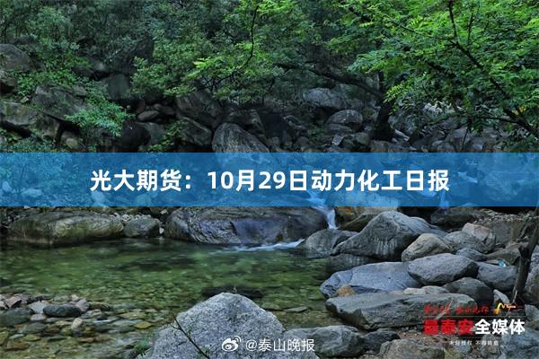 光大期货：10月29日动力化工日报